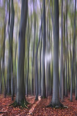 Spur von Licht / Kreativ  Fotografie von Fotograf Heiko Westphalen ★3 | STRKNG