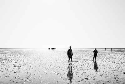 Watt... ist hier los? / Schwarz-weiss  Fotografie von Fotograf Heiko Westphalen ★3 | STRKNG