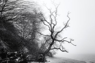 Strand, Nebel und Meer / Black and White  photography by Photographer Heiko Westphalen ★3 | STRKNG