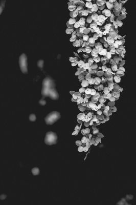 Even in darkness / Schwarz-weiss  Fotografie von Fotograf Amirkrb | STRKNG