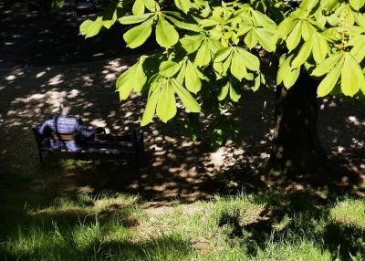 Chilling under the tree shadows / Nature  photography by Photographer Fotostregate | STRKNG