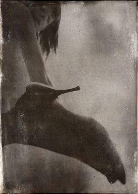 Exercise No. 486 / Photomanipulation  Fotografie von Fotograf Kirill Rotulo | STRKNG