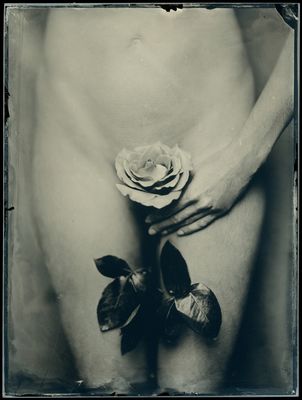 Identity with a rose / Fine Art  Fotografie von Fotograf Pablo Fanque’s Fair ★8 | STRKNG