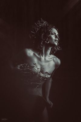 Sigrife / Fine Art  Fotografie von Fotograf Harald Heinrich ★10 | STRKNG