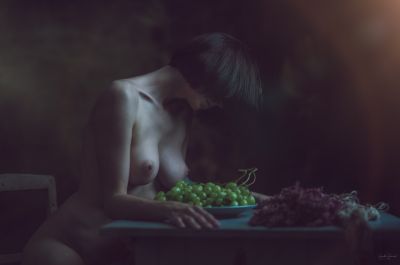 Fruits and colors / Fine Art  Fotografie von Fotograf Harald Heinrich ★9 | STRKNG