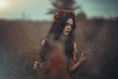 Die Oden des Herbstes / Fine Art  photography by Photographer Harald Heinrich ★11 | STRKNG