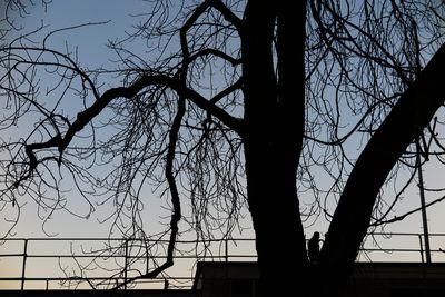 silhouette / Street  photography by Photographer Egon H | STRKNG