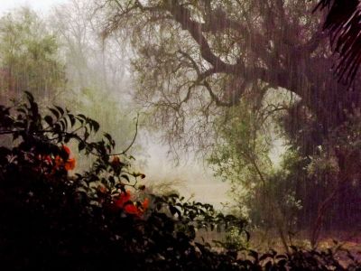 Like a Long Forgotten Dream / Nature  photography by Photographer Irene Toma ★13 | STRKNG