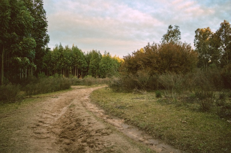 todo moviéndose al mismo tempo - &copy; Emiliano | Natur