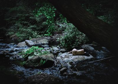 Simbiosi / Konzeptionell  Fotografie von Fotografin Manuela Donato | STRKNG