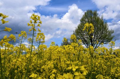 Raps / Landscapes  photography by Photographer RE-Photo | STRKNG