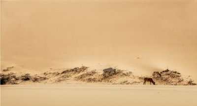 Sand Cave / Landscapes  photography by Photographer Trí Lê | STRKNG