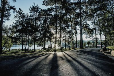 Dawn on the plateau / Landscapes  photography by Photographer Trí Lê | STRKNG