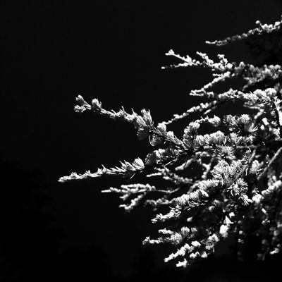 precence in the night / Schwarz-weiss  Fotografie von Fotograf MatteoMigliorini | STRKNG