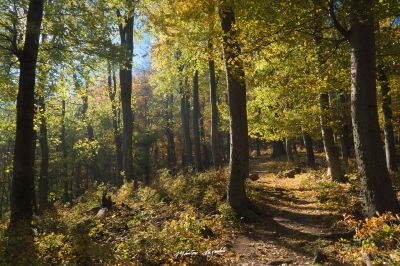 Falling for the light / Landscapes  photography by Photographer Marton Hegedus | STRKNG