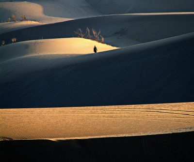 Silence in desert / Natur  Fotografie von Fotograf m shirvana | STRKNG