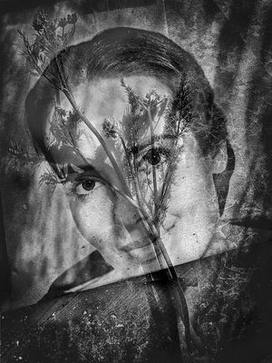 Miss Sixty / Fine Art  Fotografie von Fotograf Holger Goehler ★1 | STRKNG