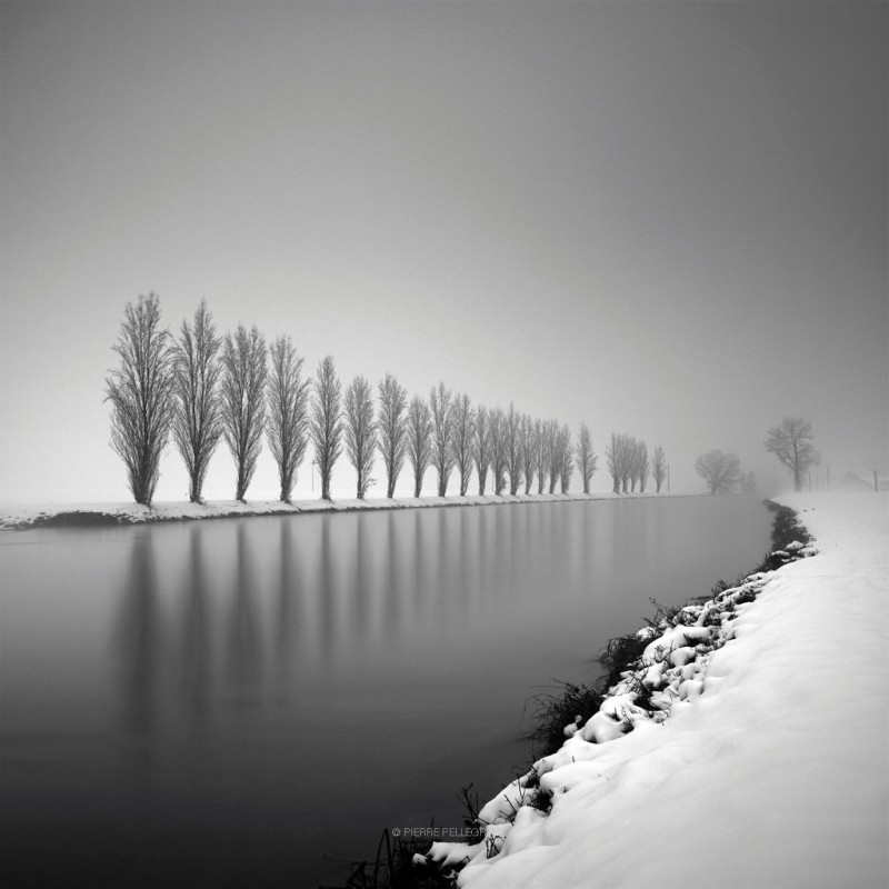 Strictly Motionless In The Chill Of Winter - &copy; Pierre Pellegrini | Fine Art