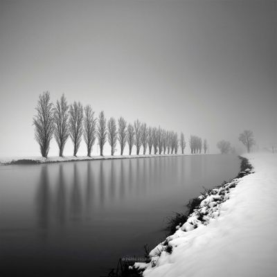 Strictly Motionless In The Chill Of Winter / Fine Art  photography by Photographer Pierre Pellegrini ★4 | STRKNG