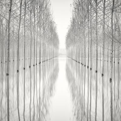 Graphical Nature II / Fine Art  Fotografie von Fotograf Pierre Pellegrini ★4 | STRKNG