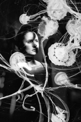The age of jellyfish / Creative edit  photography by Photographer Rene Olejnik ★2 | STRKNG