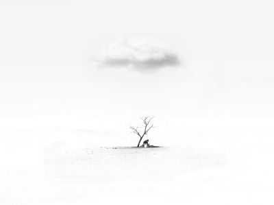 Fine Art  Fotografie von Fotografin Sanaz Babaei ★1 | STRKNG