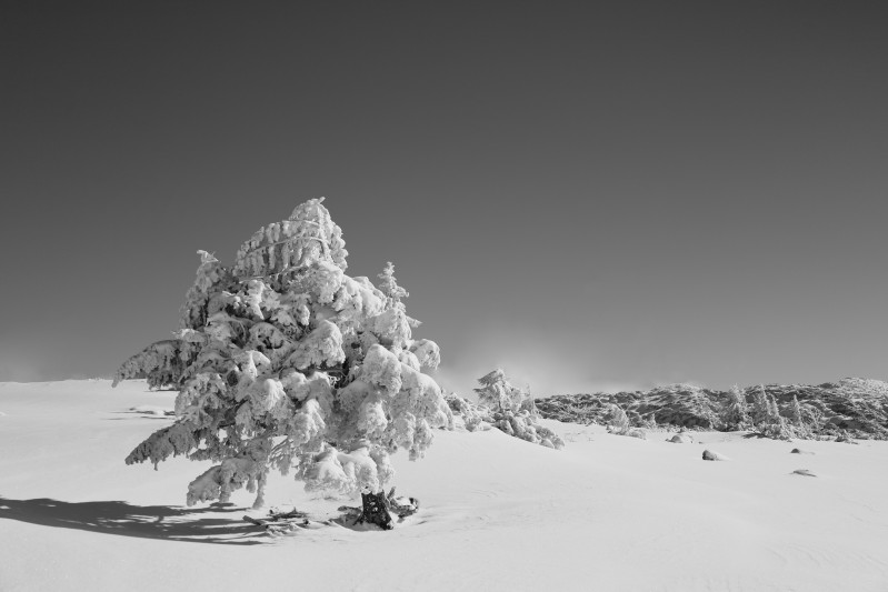 Snow - &copy; GeKa | Landscapes