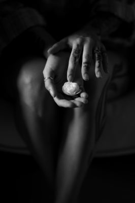 White bloom / Fine Art  Fotografie von Fotograf SiD | STRKNG