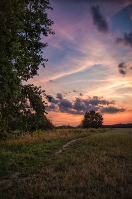 Landscapes  Fotografie von Fotograf Arnan | STRKNG