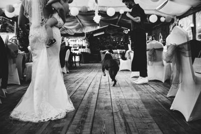 best chaos day / Hochzeit  Fotografie von Fotografin Madeleine Kriese ★4 | STRKNG