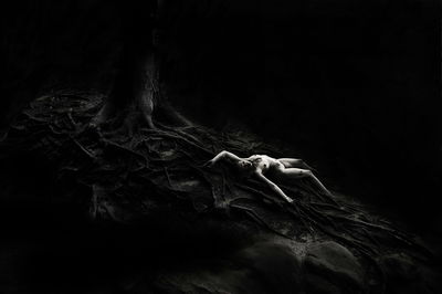 wurzelwerk 5 / Conceptual  photography by Photographer ansichten ★7 | STRKNG