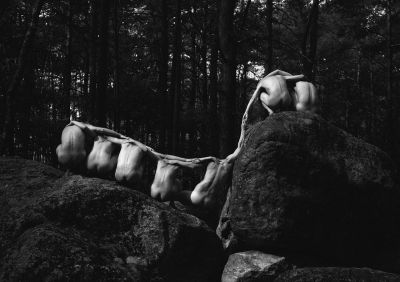 Fontainebleau Linked / Fine Art  Fotografie von Fotograf Ellard ★12 | STRKNG