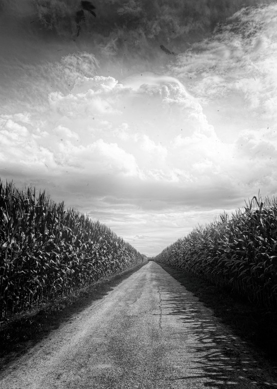 Pre Popcorn Road - &copy; Thomas Maenz | Landscapes