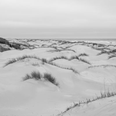 Strandwimpern / Landscapes  Fotografie von Fotograf Thomas Maenz ★5 | STRKNG