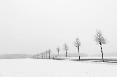 Winter Alley / Landscapes  Fotografie von Fotograf Thomas Maenz ★4 | STRKNG