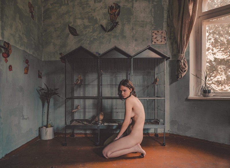 Bird Cage - &copy; Rufus | Nude