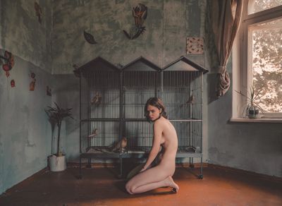 Bird Cage / Nude  photography by Photographer Rufus ★7 | STRKNG