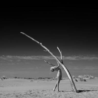 The tree 03 / Nude  Fotografie von Fotograf DanBrandLee ★5 | STRKNG