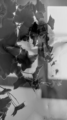 The poisonous ivy / Fine Art  photography by Photographer Aizpuriete ★1 | STRKNG