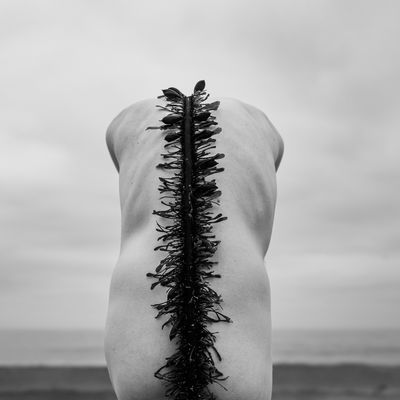 Spine / Fine Art  Fotografie von Fotograf Scott Franklin Evans ★6 | STRKNG