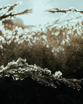 Winter morning vibe / Fine Art  Fotografie von Fotograf Docsamado | STRKNG