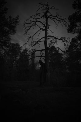 Lurking / Black and White  photography by Photographer Kris Taylor ★2 | STRKNG