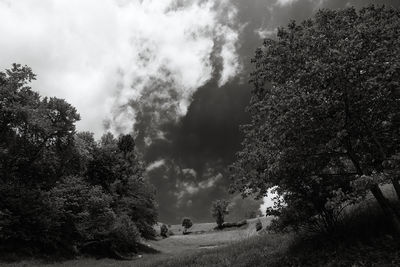 Trees, Clouds and Freedom / Natur  Fotografie von Fotograf xprssnst ★1 | STRKNG