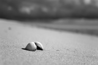 Beach love / Nature  photography by Photographer xprssnst ★1 | STRKNG