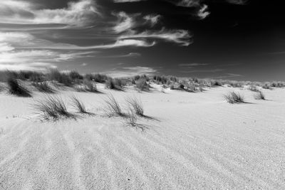 Patterns / Nature  photography by Photographer xprssnst ★1 | STRKNG
