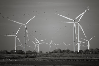 Nordfriesland stirbt - &quot;Klaar Kiming&quot; war gestern / Dokumentation  Fotografie von Fotograf xprssnst ★1 | STRKNG