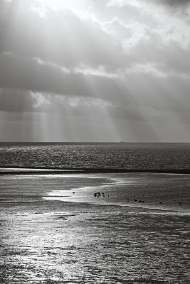 By the sea / Natur  Fotografie von Fotograf xprssnst ★1 | STRKNG