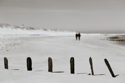 Strandspaziergang / Nature  photography by Photographer xprssnst ★1 | STRKNG