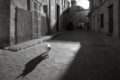 Unterwegs in Sineu / Street  Fotografie von Fotograf xprssnst | STRKNG