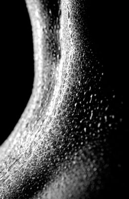 Tropfen / Schwarz-weiss  Fotografie von Fotograf Andreas Pott | STRKNG